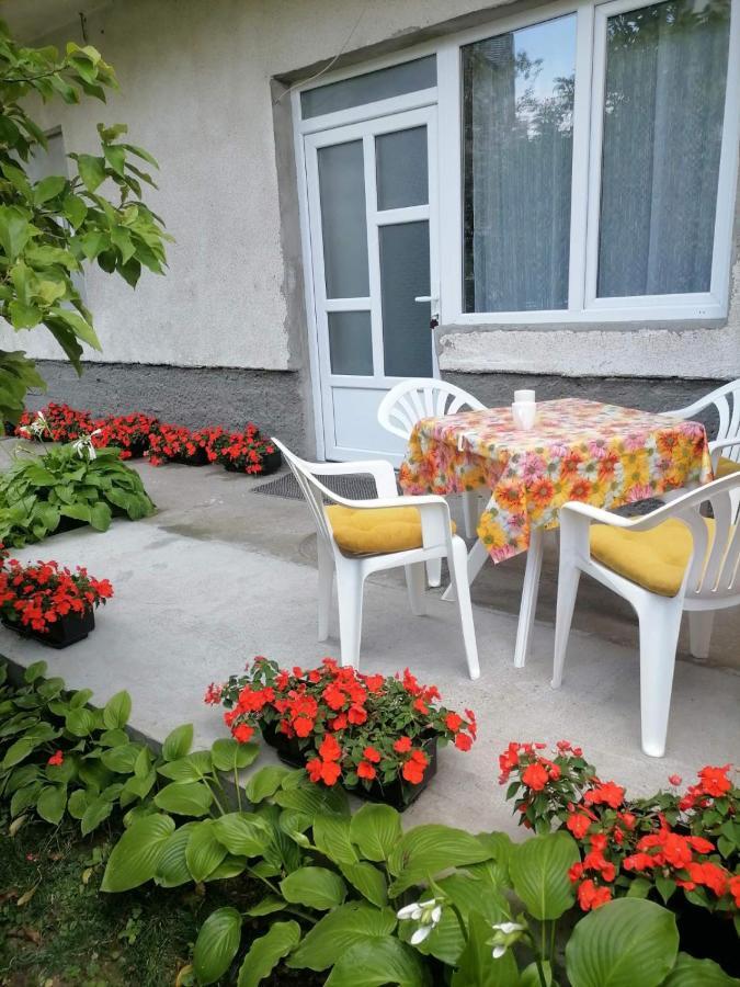 Pavicevic Apartamento Soko Banja Exterior foto