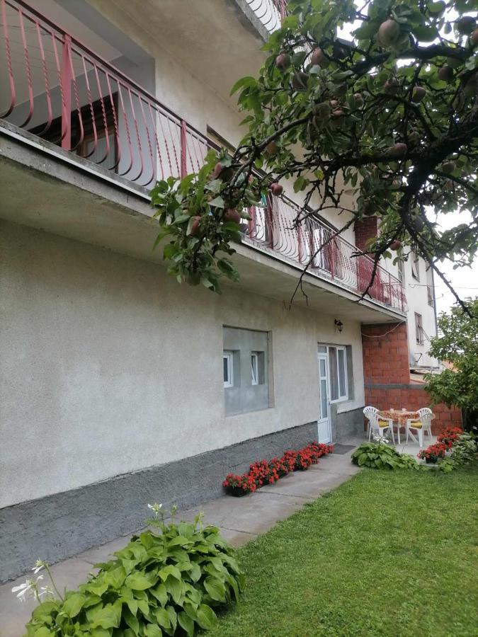 Pavicevic Apartamento Soko Banja Exterior foto