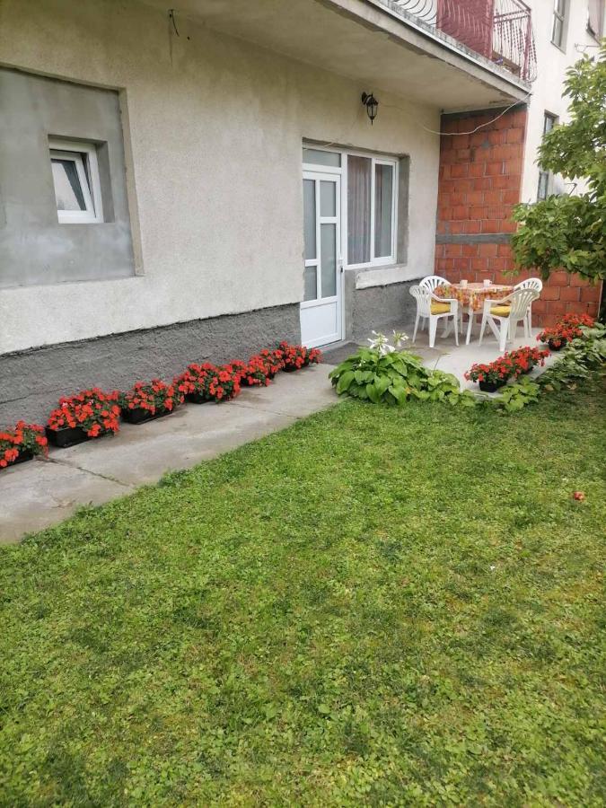 Pavicevic Apartamento Soko Banja Exterior foto