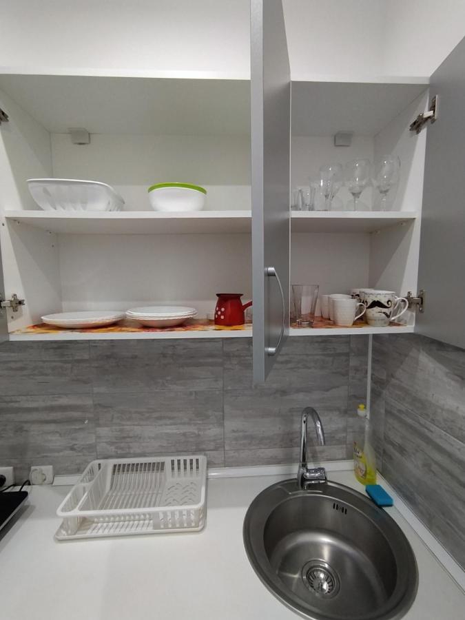 Pavicevic Apartamento Soko Banja Exterior foto